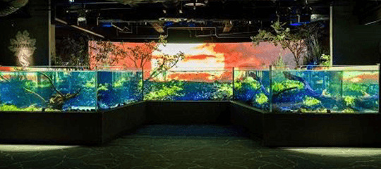 カワスイ 川崎水族館