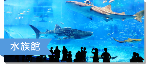 水族館