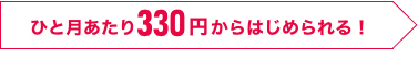 ひと月あたり300円からはじめられる